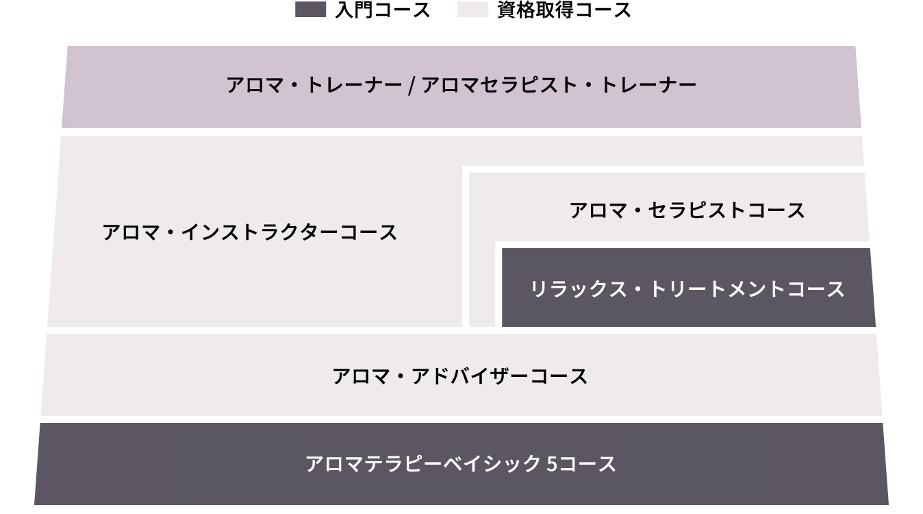 資格取得の流れ